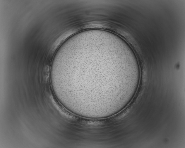 X0000116561233200912311926