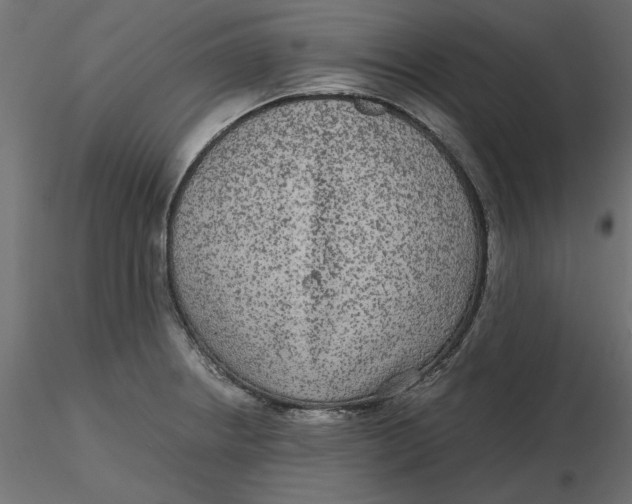 X0000116561234200912311926