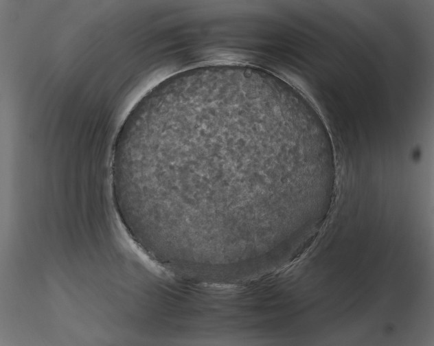 X0000116561235200912311926