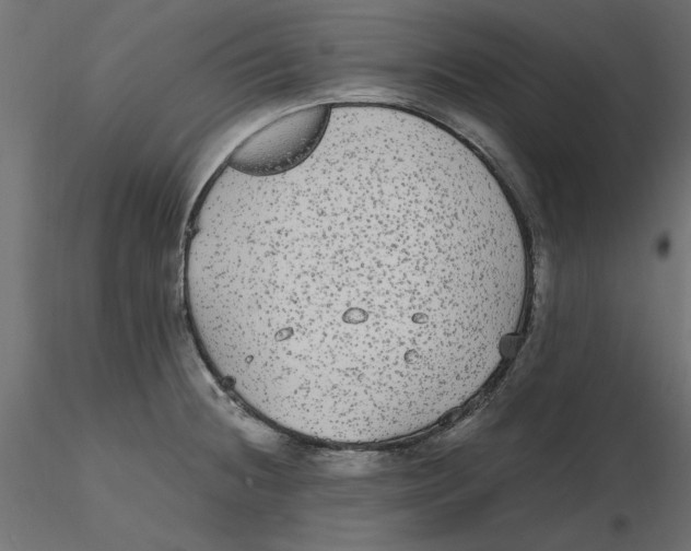 X0000116561236200912311926