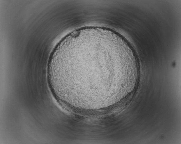 X0000116561237200912311926