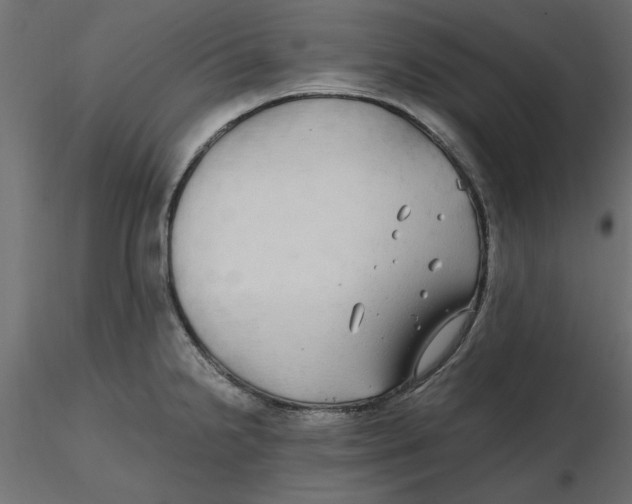 X0000116561238200912311926