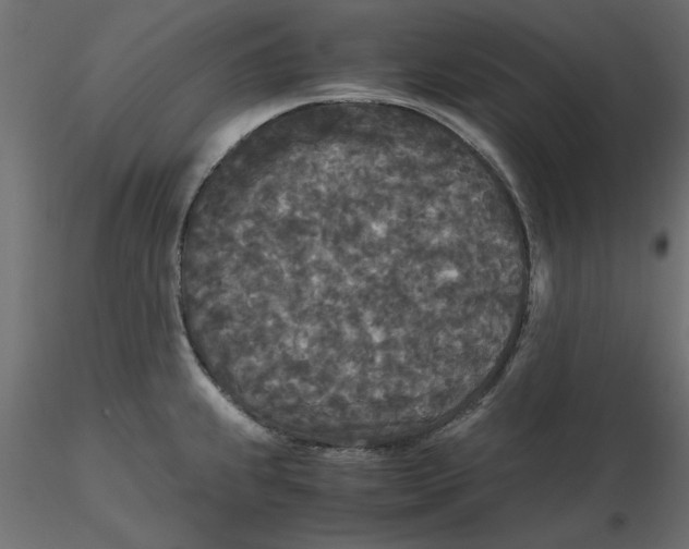 X0000116561239200912311926