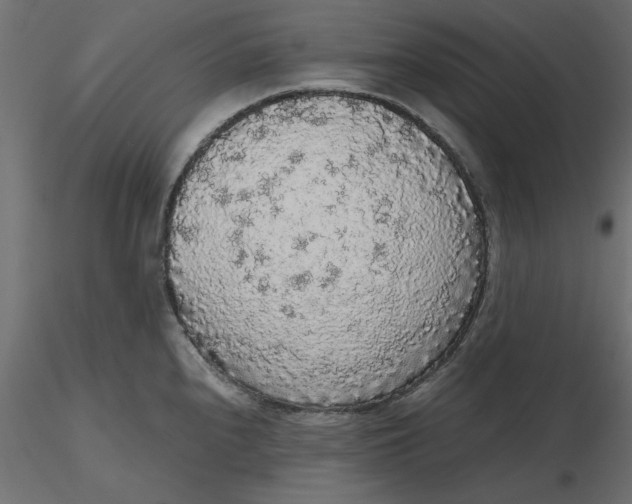 X0000116561240200912311926