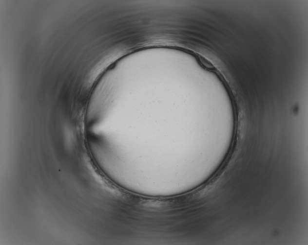 X0000116561241200912311926