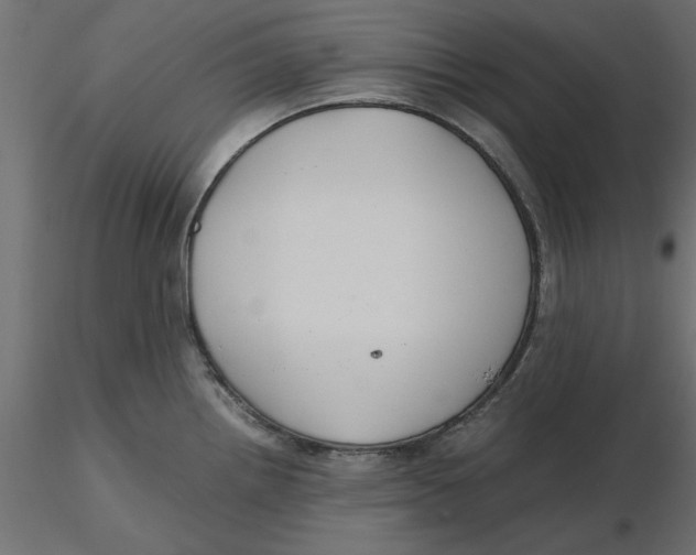 X0000116561242200912311926