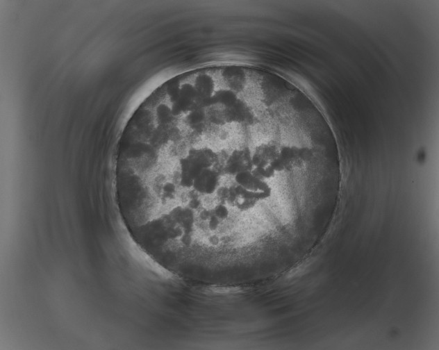 X0000116561243200912311926