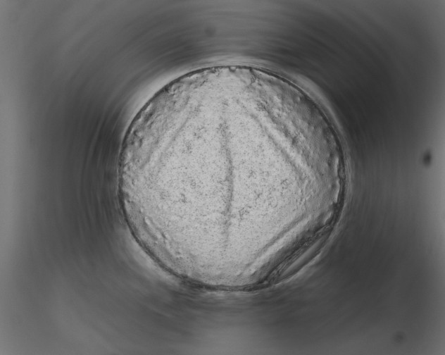 X0000116561244200912311926