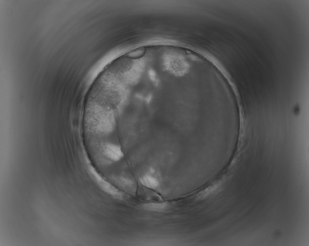 X0000116561245200912311926