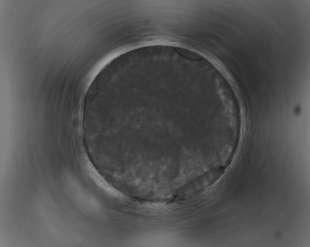 X0000116561246200912311926