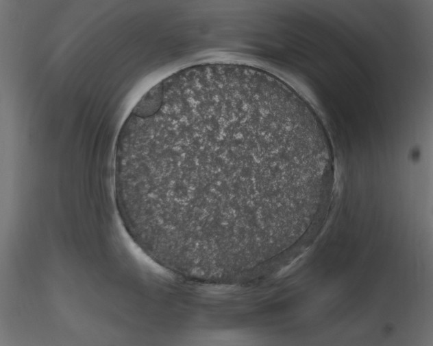 X0000116561247200912311926