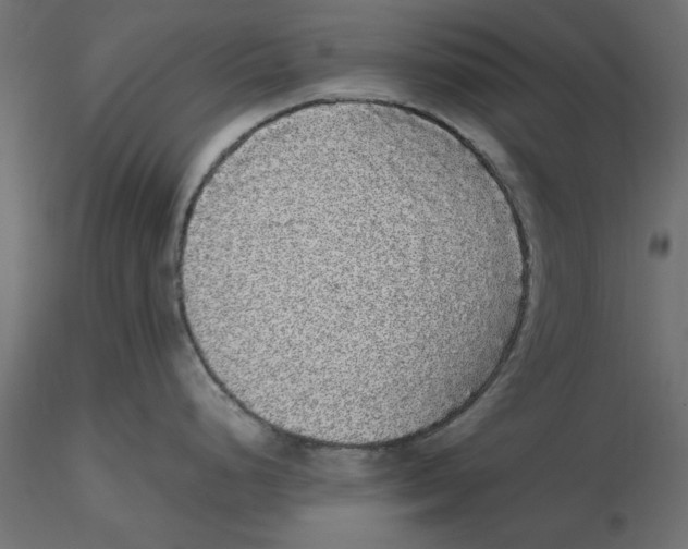 X0000116561248200912311926