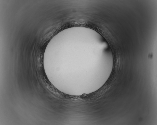 X0000116561250200912311925