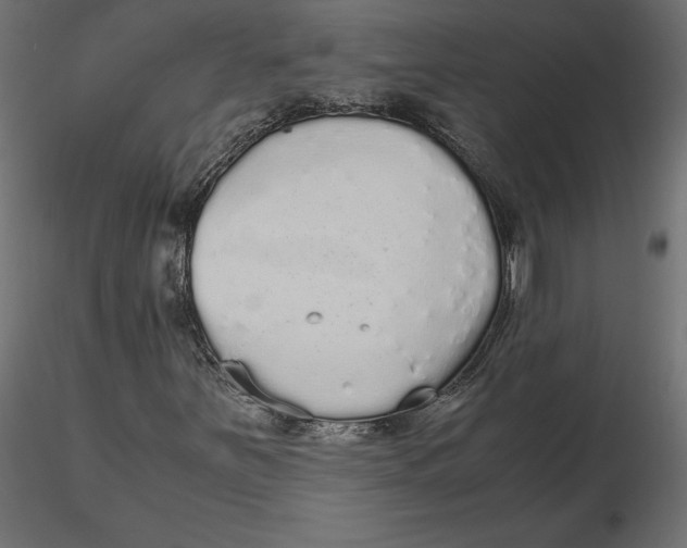 X0000116561251200912311925