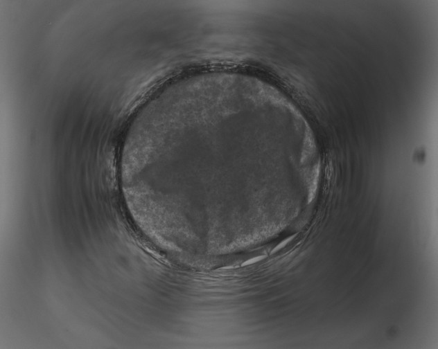 X0000116561252200912311925