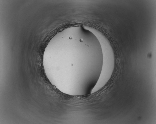 X0000116561253200912311925