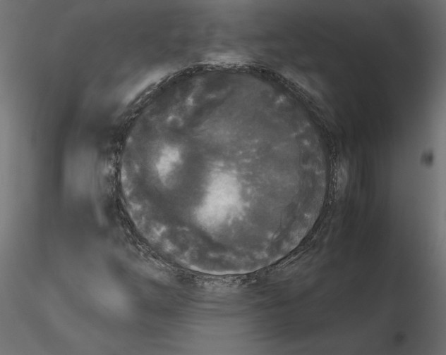 X0000116561254200912311925