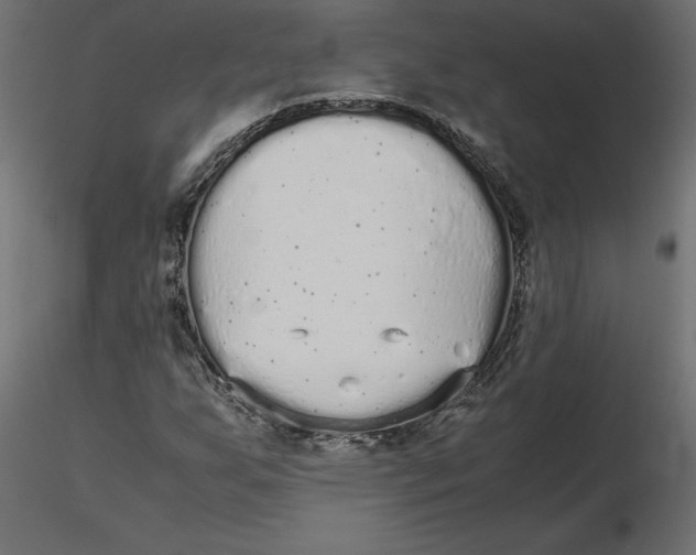 X0000116561255200912311925