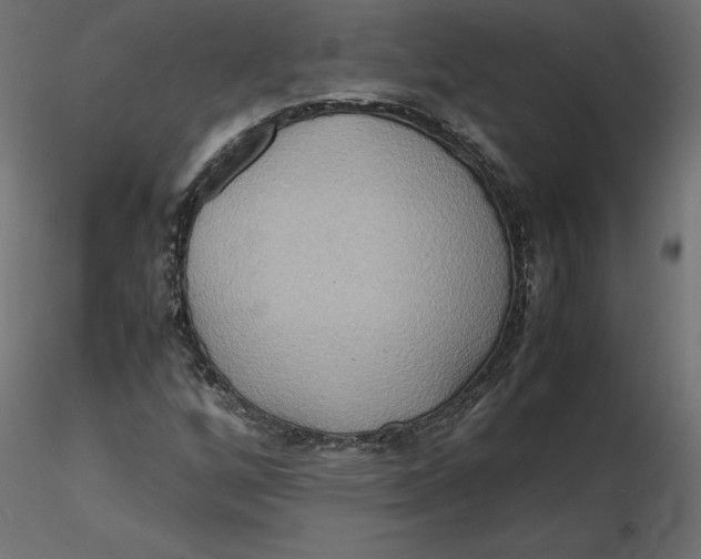 X0000116561256200912311925