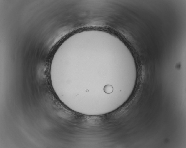 X0000116561258200912311925