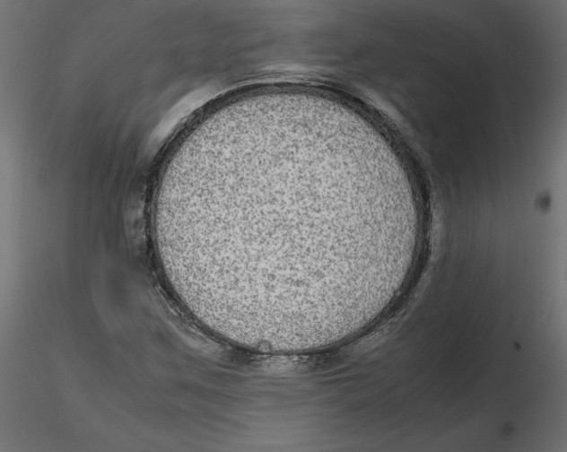 X0000116561259200912311925