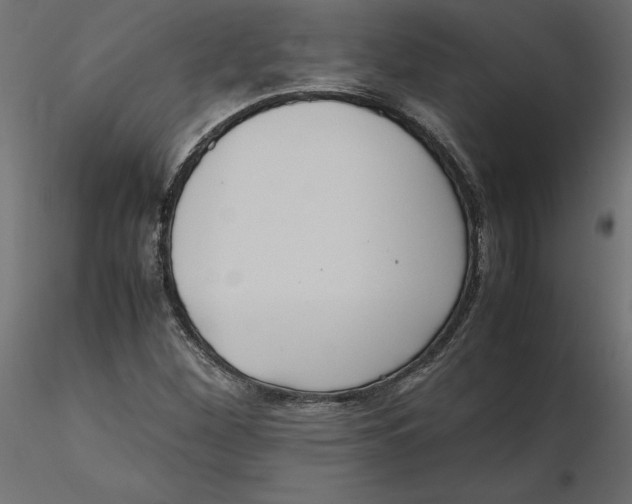 X0000116561260200912311925