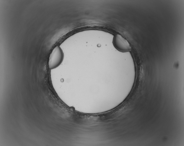 X0000116561261200912311925