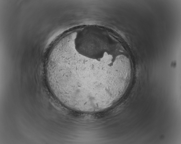 X0000116561263200912311925