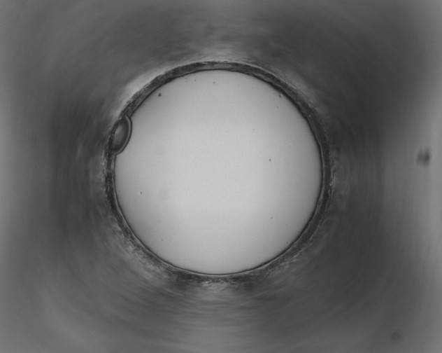 X0000116561264200912311925