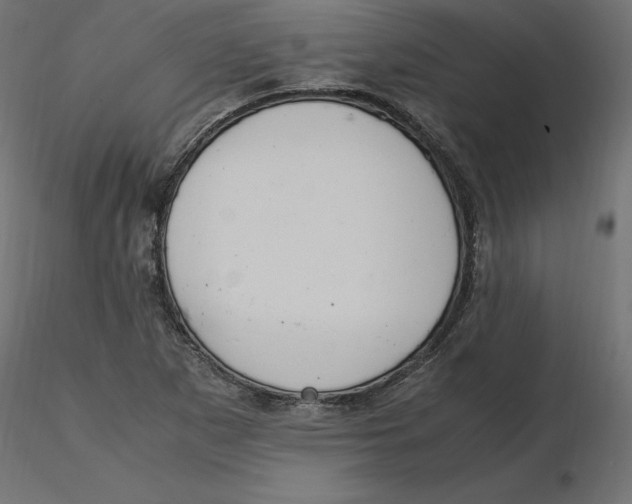 X0000116561265200912311925