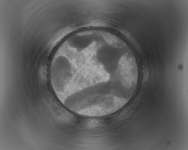 X0000116561266200912311925