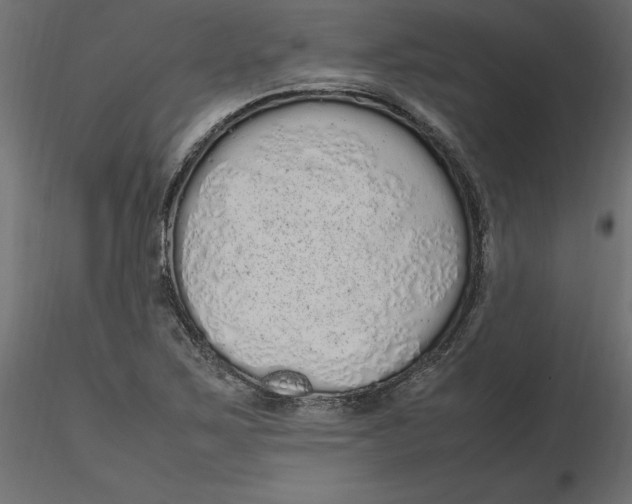 X0000116561267200912311925