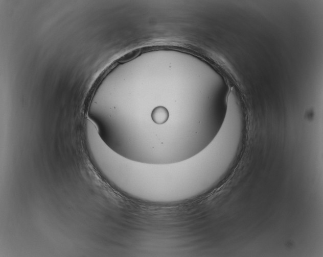 X0000116561268200912311925