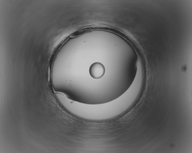 X0000116561269200912311925