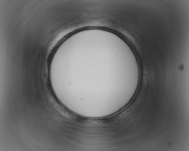 X0000116561270200912311925