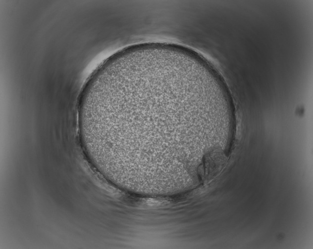 X0000116561271200912311925