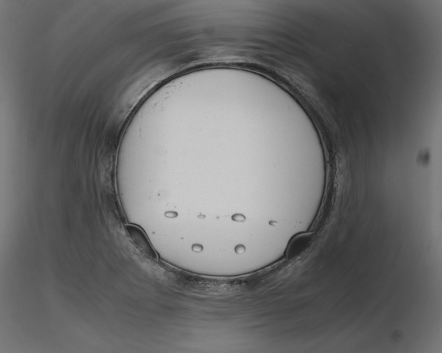 X0000116561273200912311925