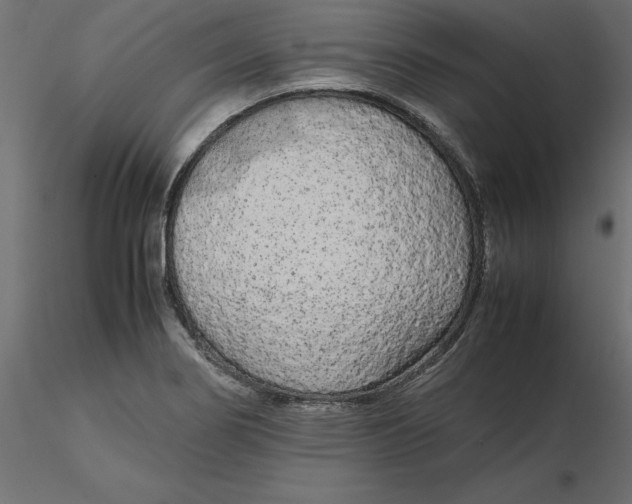 X0000116561274200912311925