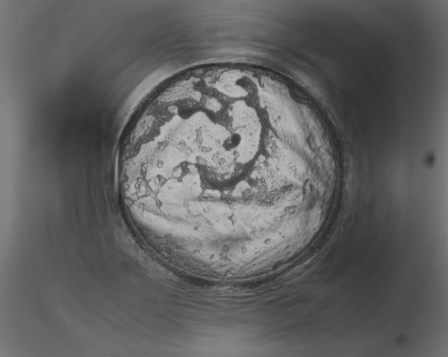 X0000116561275200912311925