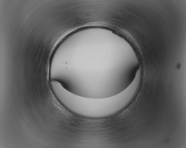 X0000116561276200912311925