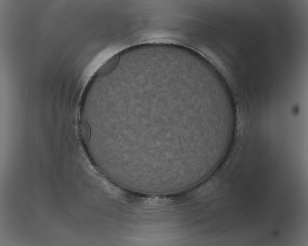 X0000116561277200912311925