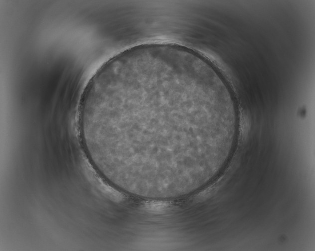 X0000116561278200912311925