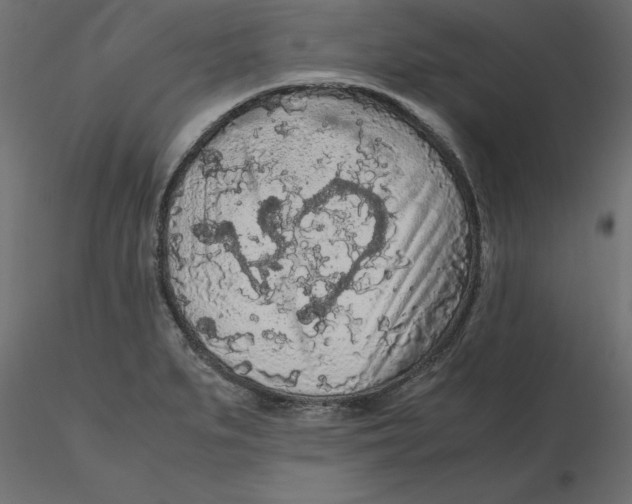 X0000116561279200912311925