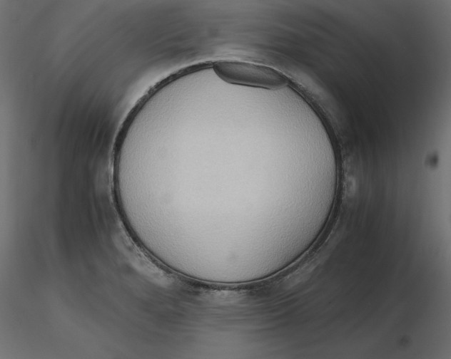 X0000116561280200912311925