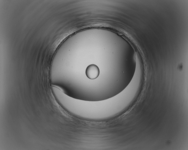 X0000116561281200912311925