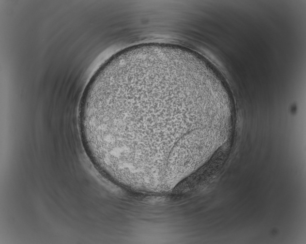 X0000116561283200912311925