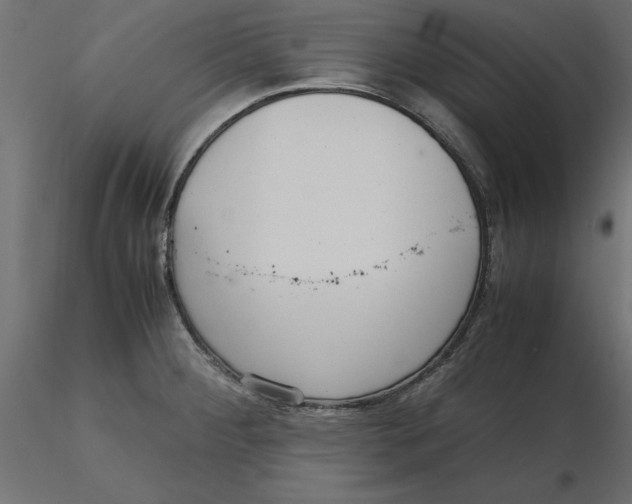 X0000116561284200912311925