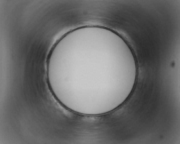 X0000116561286200912311925