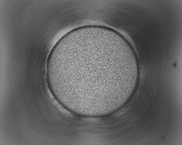 X0000116561287200912311925