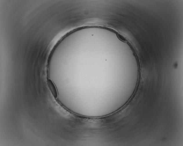 X0000116561288200912311925